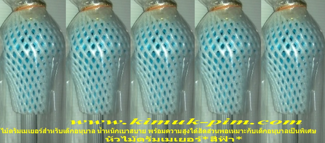 ไม้ดรัมเมเยอร์เด็กอนุบาล(หัวไม้สีฟ้าน้ำหนักเบาสบาย-ความสูงพอเหมาะกับเด็กอนุบาล)TMT007