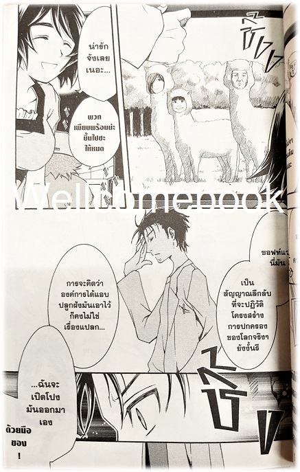 รวมชุด "Steins;Gate: ปริศนาวังวนแห่งเดจาวู " 2 เล่มจบ ~Reki Kugayama~