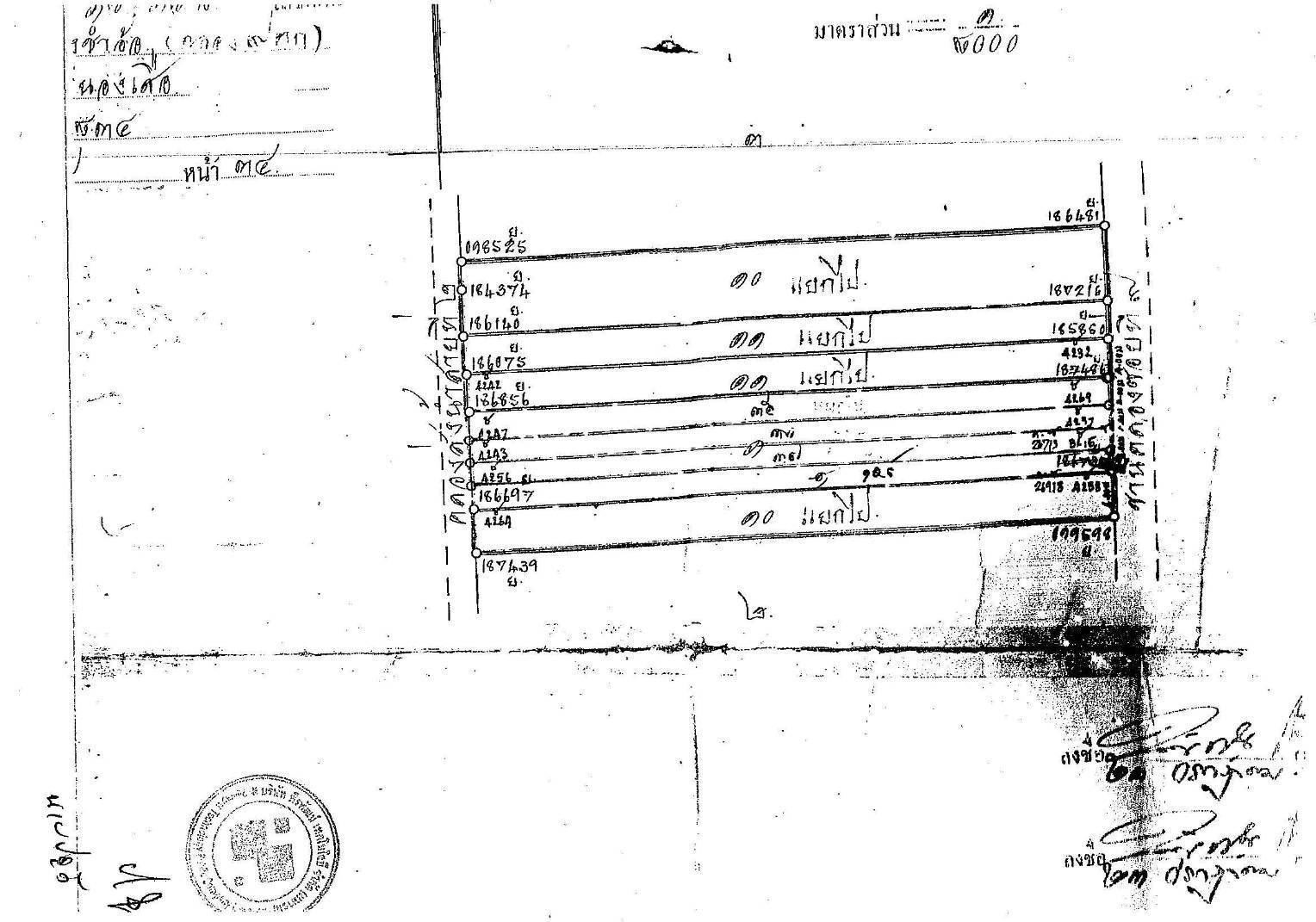 ขายที่ดินเปล่า จำนวน 60 ไร่ ถ.รังสิต-นครนายก คลอง9 หนองเสือ ปทุมธานี