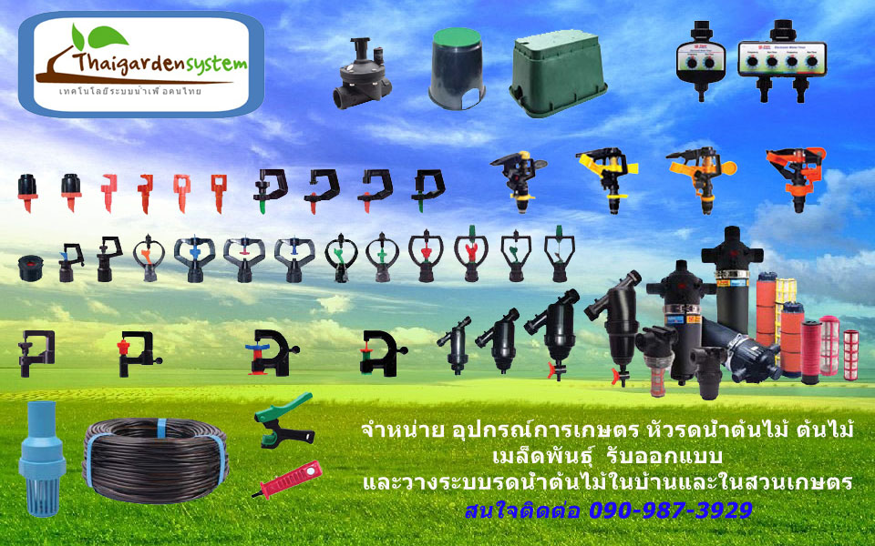 Thaigardensystem