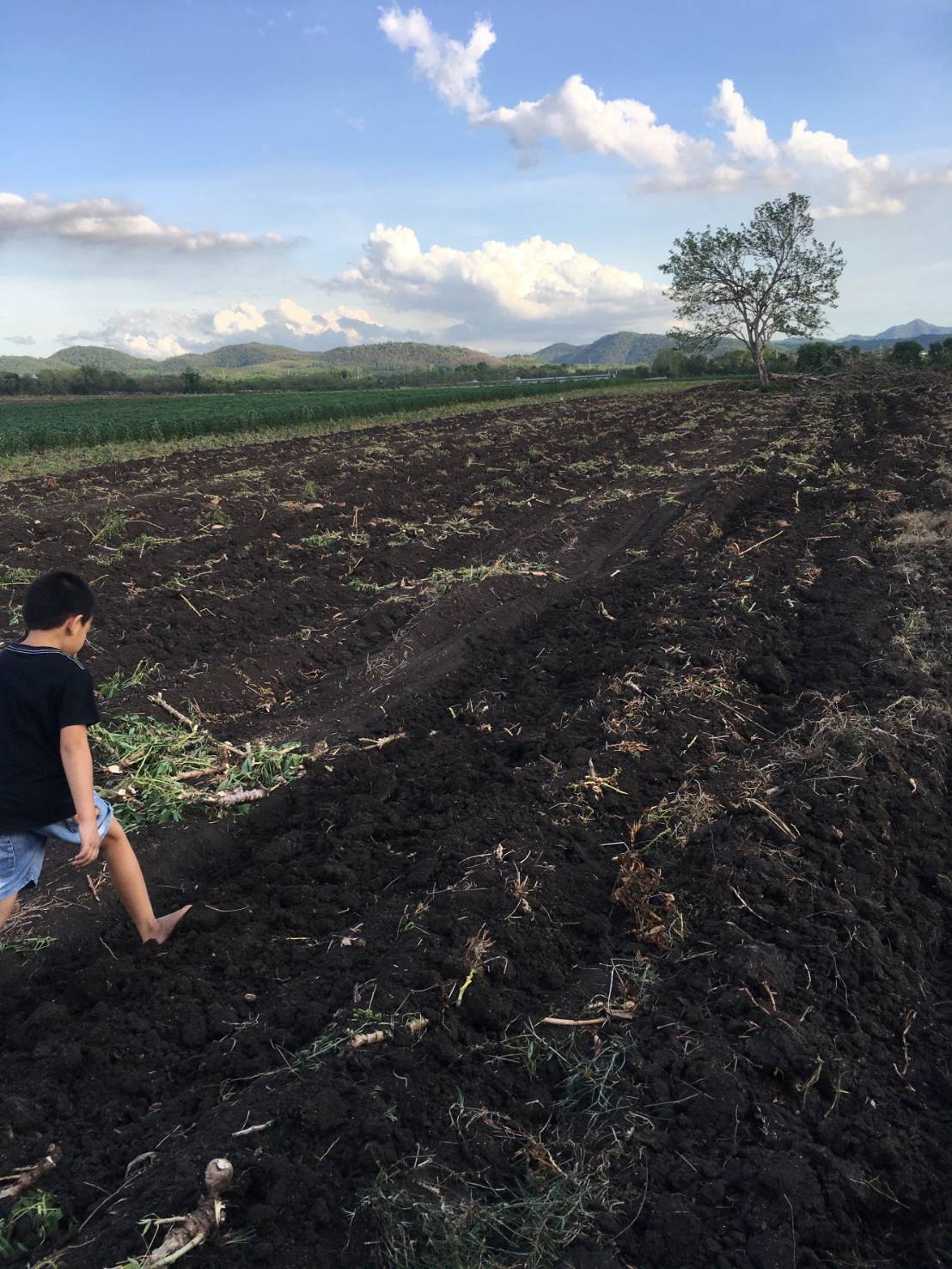 ขาย-ที่ดินเปล่า 168ไร่89ตรว.ต.แสลงพัน อ.วังม่วง จ.สระบุรี