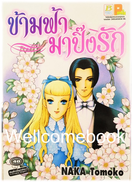 ข้ามฟ้ามาปิ๊งรัก เล่มเดียวจบ ~NAKA Tomoko~