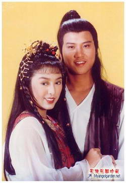 ฤทธิ์หมัดสะท้านบู๊ลิ้ม 6 แผ่น ว่านจือเหลียง