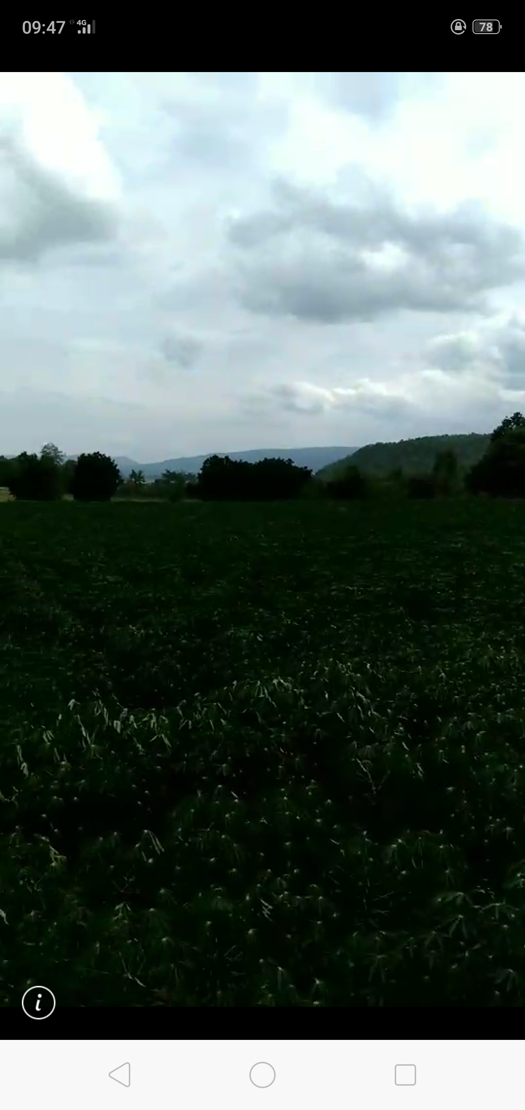 ขาย-ที่ดินเปล่ จำนวน888ไร่ ต.ตะขบ อ.ปักธงชัย จ.นครราชสีมา