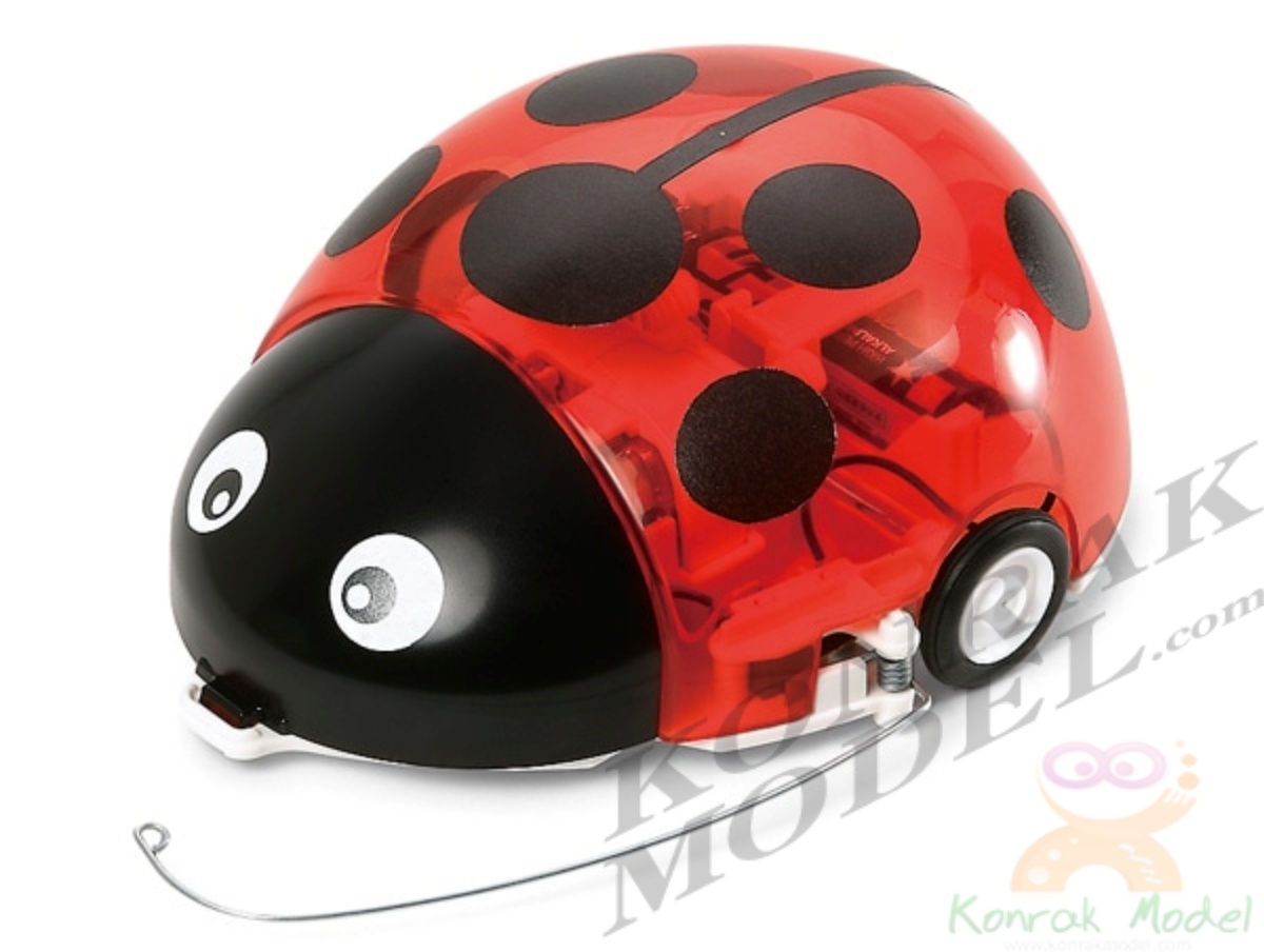 TA70195 WALL-HUGGING LADYBUG