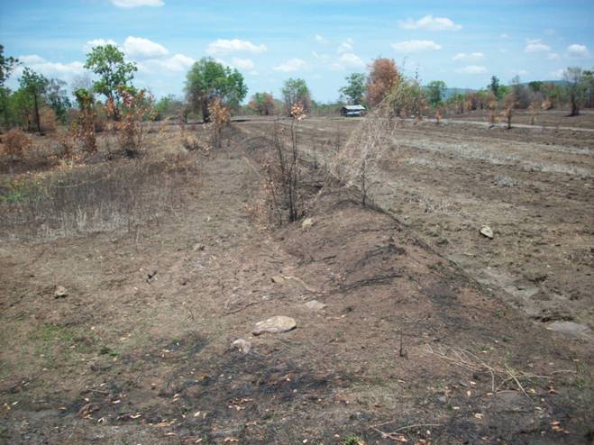 ที่ดินเปล่า จำนวน180ไร่ต.ม่วงคอม อ.พัฒนานิคม จ.ลพบุรี