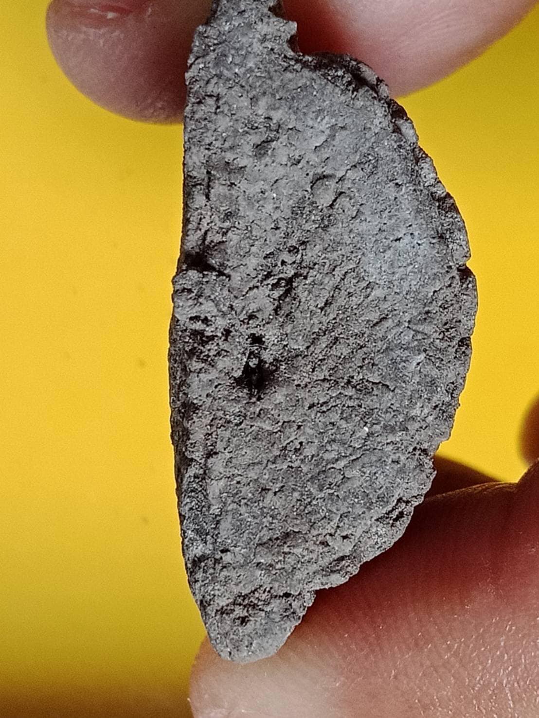 หลวงพ่อทวดพิมพ์ห้าเหลี่ยมจัมโบ้ พระอาจารย์พล วัดนาประดู่ รุ่นแรกปี 39 ผสมมวลสารรุ่นแรก 2497 ปี 2539