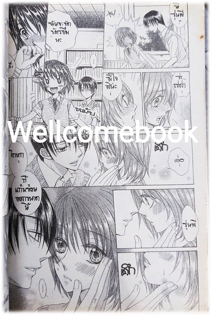 รักเดียวที่ปรารถนา เล่มเดียวจบ