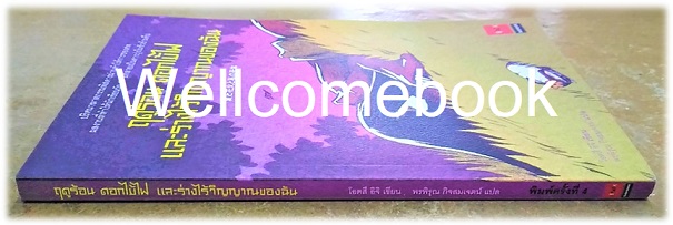 Xฤดูร้อน ดอกไม้ไฟ และร่างไร้วิญญาณของฉัน (ปกใหม่) เล่มเดียวจบ ~ Otsuichi ~