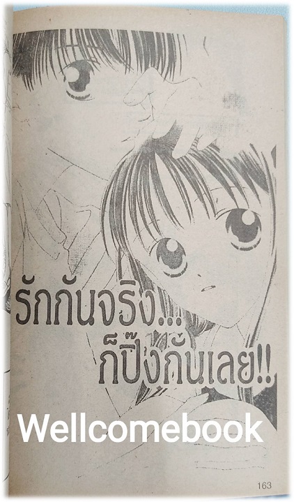 ตามรอยจดหมายรัก เล่มเดียวจบ