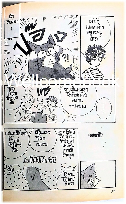 รวมชุด "บันทึกของเจ้าส้ม" 14 เล่มจบ ~Miwa Abiko~