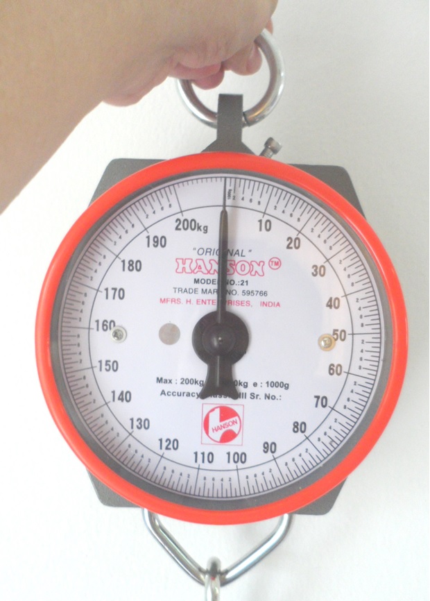 เครื่องชั่งน้ำหนักแบบแขวน 100 kg.