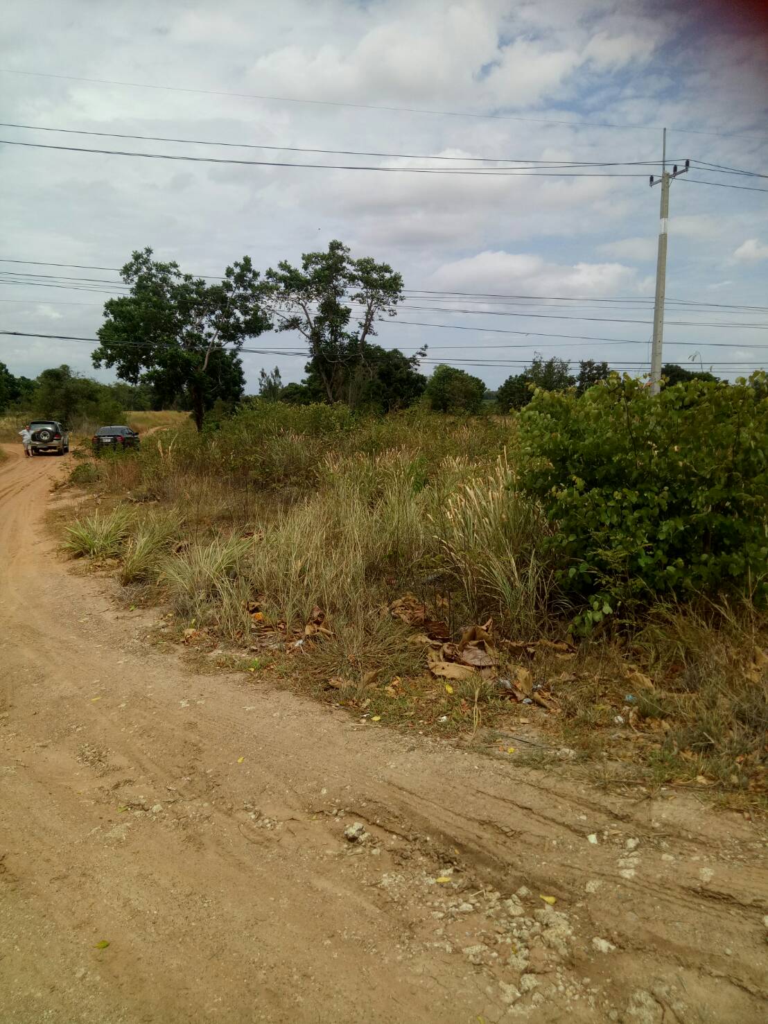 ขาย-ที่ดินเปล่า จำนวน2500ไร่ ถ กบินทร์บุรี-ปักธงชัย(304)ต.งิ้ว อ.ปักธงชัย จ.นครราชสีมา