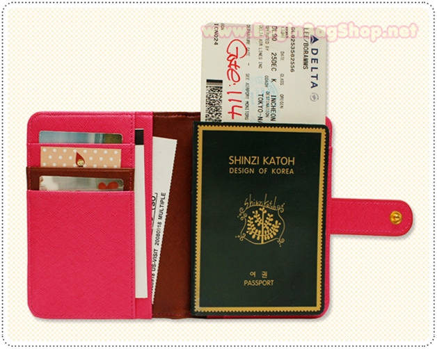 Mini Basic Passport Case