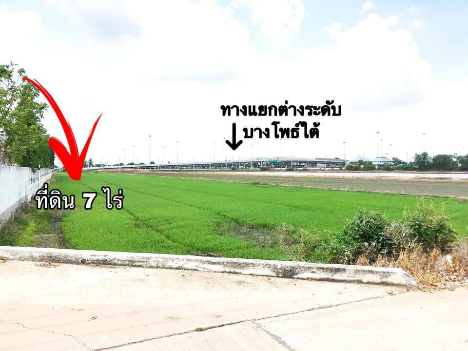 ขาย-ที่ดินเปล่าสวย พื้นที่ 7 ไร่ วงเวียนบางโพธิ์ใต้ ตำบลบางเดื่อ อำเภอเมือง จังหวัดปทุมธานี