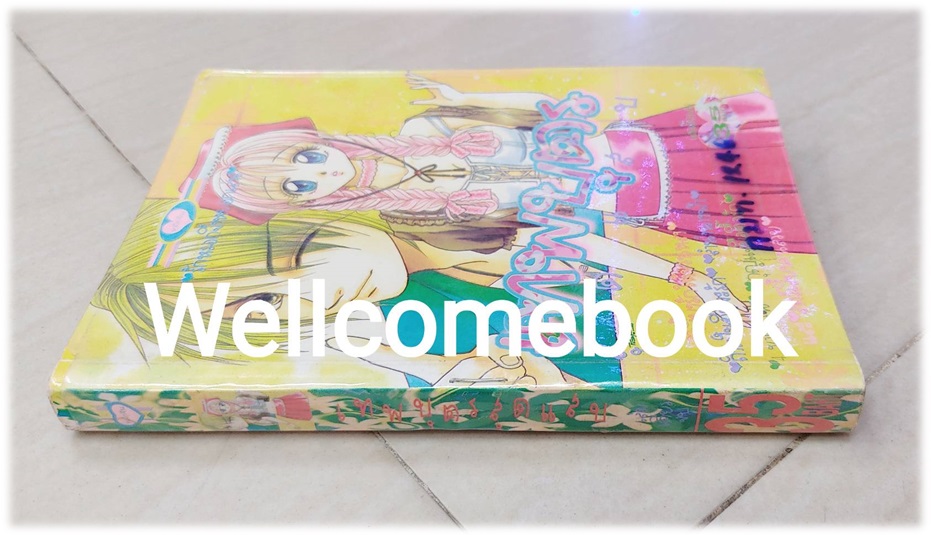 เทพบุตรสุดแสบ เล่มเดียวจบ