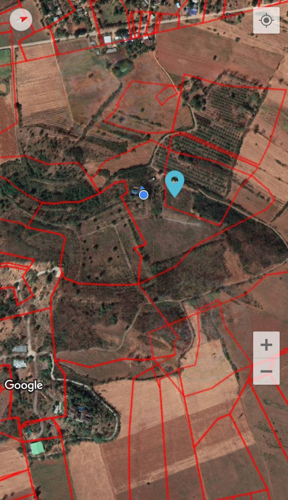 ขาย-ที่ดินเปล่าสวยเขาใหญ่ พื้นที่ 77ไร่ ต..วังไทร อ.ปากช่อง จ.นครราชสีมา