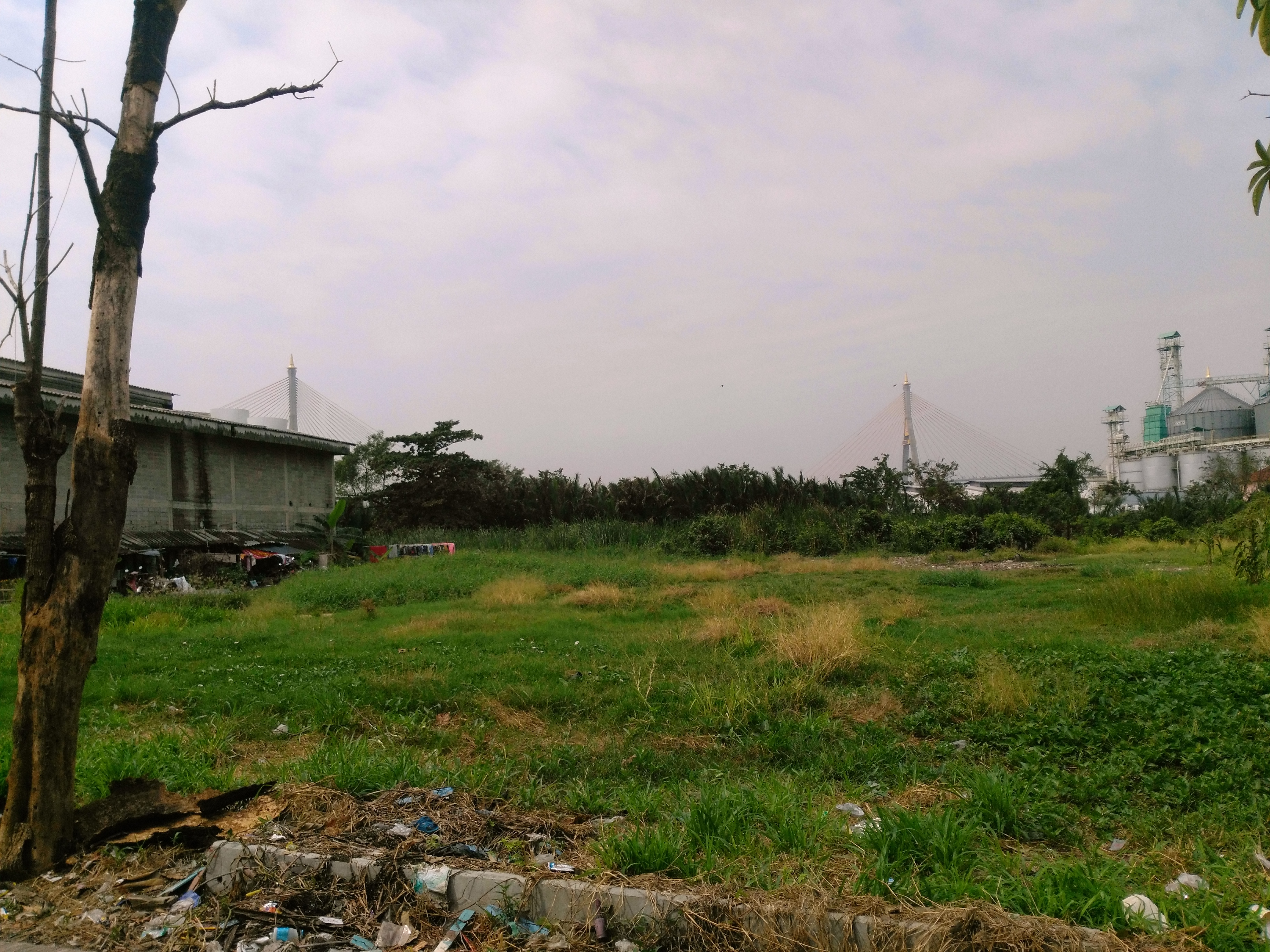 ที่ดินเปล่า7ไร่ติดเเม่น้ำเจ้าพระยา พระประแดงสมุทรปราการ