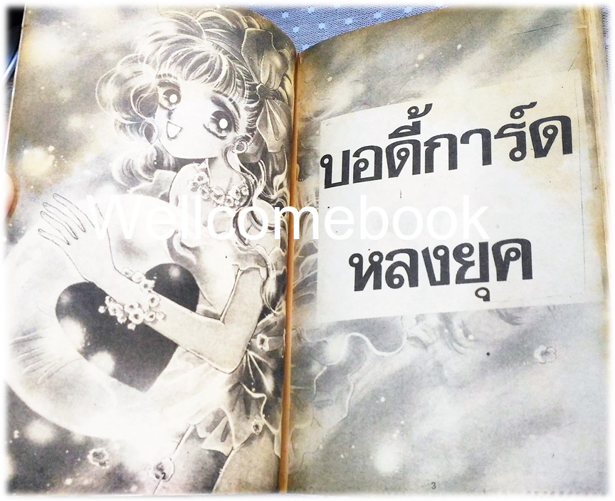 บอดี้การ์ดหลงยุค เล่มเดียวจบ ~Emiko Sugi~