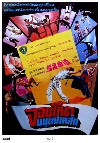 จอมโหดมนุษย์เหล็ก The Magnificent Ruffians 1979