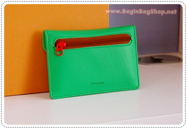 Rainbow Card Case