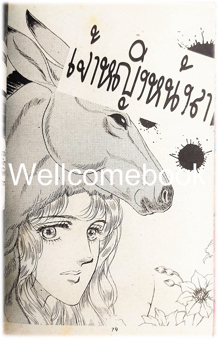 XPrincess พริ้นเซส 15 เล่มเดียวจบ