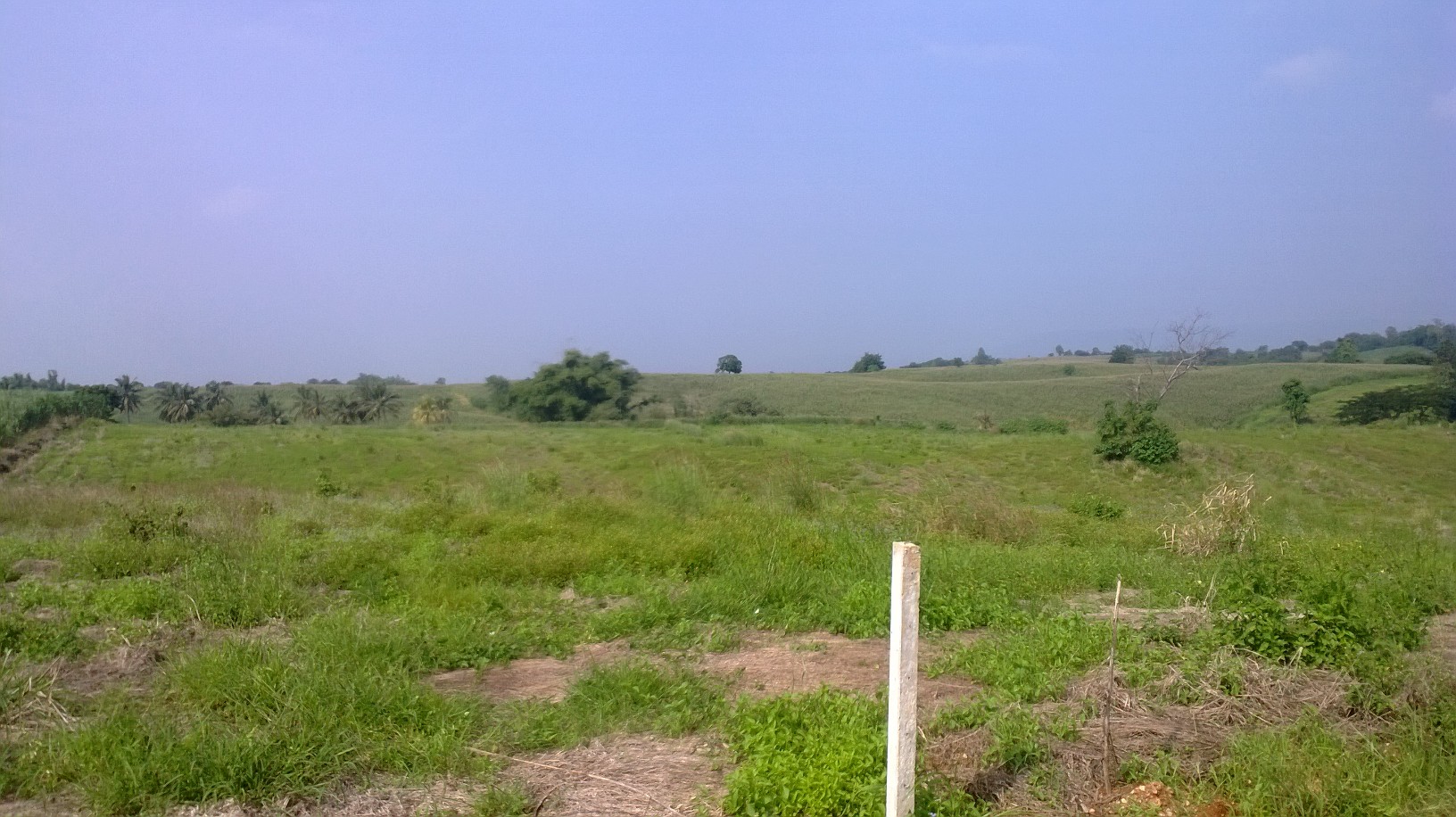 ที่ดินเปล่า230ไร่ แบ่งขายเป็นแปลงต.วังกะทะ(หมูสี )ติดวังน้ำเขียว นครราชสีมา