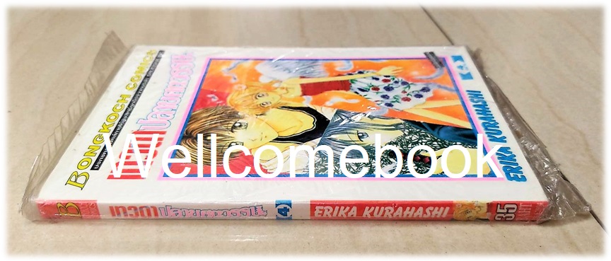 เทวดาปลายศตวรรษ เล่ม 4 (เล่มจบ) ~Kurahashi Erika~