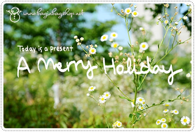 A Merry Holiday Daily Bag