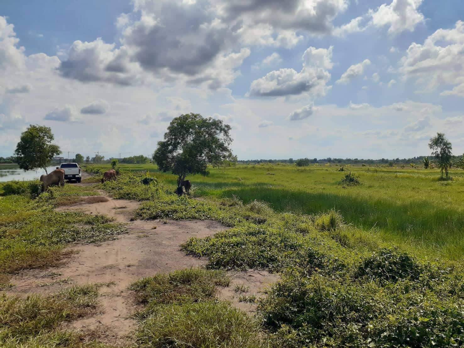 ขาย-ที่ดินเปล่าจำนวน 2 ไร่ 2 งาน 70 ตารางวาตำบลดอนยออำเภอเมืองนครนายกจังหวัดนครนายก