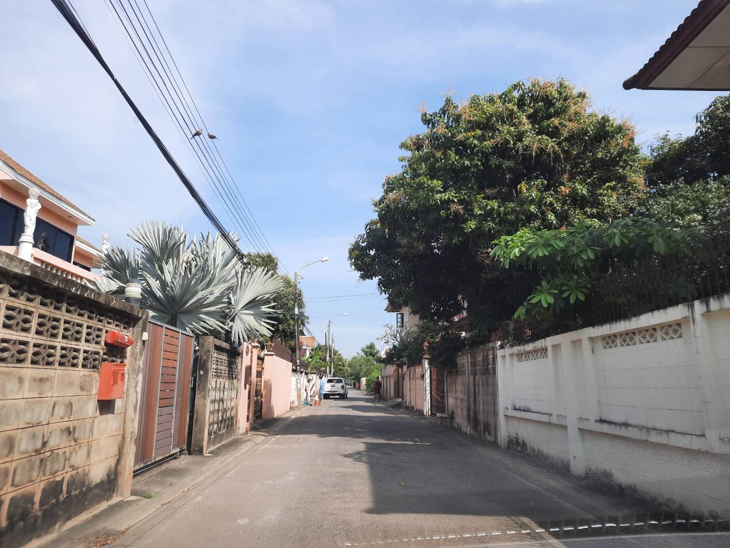 ขาย-ที่ดินเปล่า2แปลง แบ่งขายแปลงละ 50 ตรว. ต.บางกร่าง อ.เมือง จ.นนทบุรี