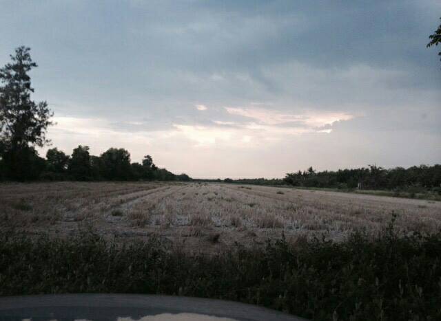 ขายที่ดินเปล่า จำนวน 60 ไร่ ถ.รังสิต-นครนายก คลอง9 หนองเสือ ปทุมธานี