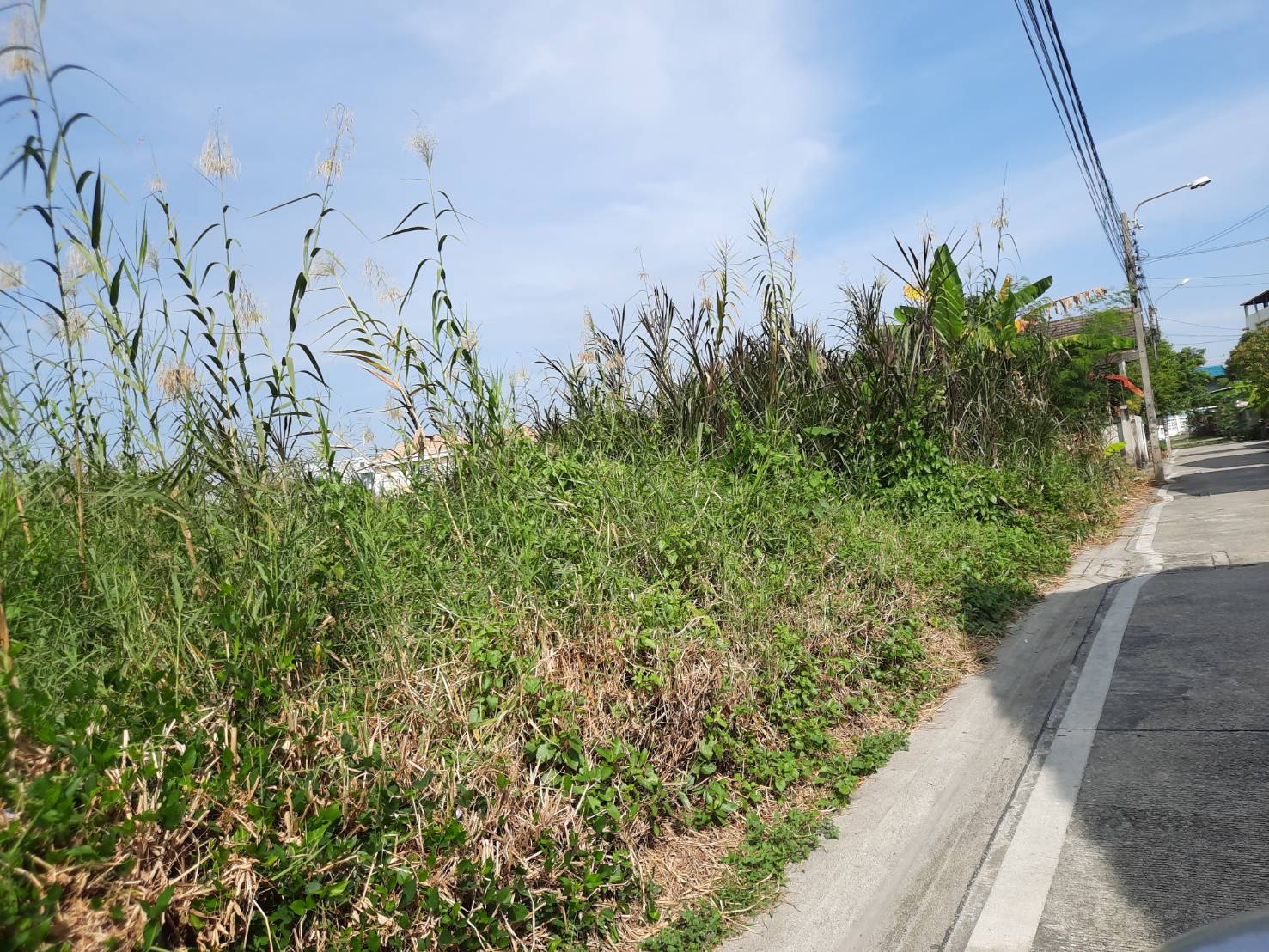 ขาย-ที่ดินเปล่า2แปลง แบ่งขายแปลงละ 50 ตรว. ต.บางกร่าง อ.เมือง จ.นนทบุรี