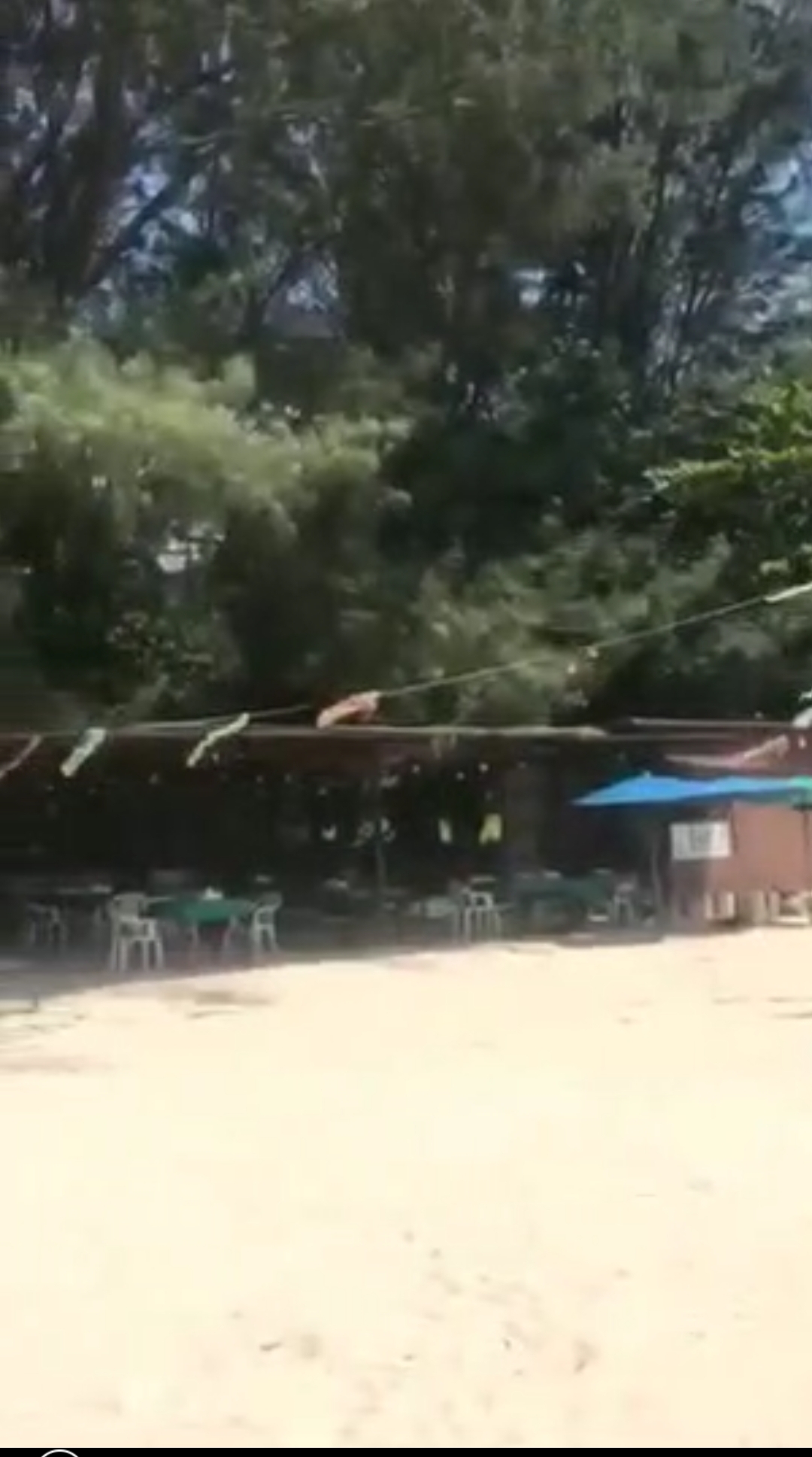 ขายที่ดินเปล่า เนื้อที่ 12-3-92.6ไร่ หาดไนยาง ภูเก็ต