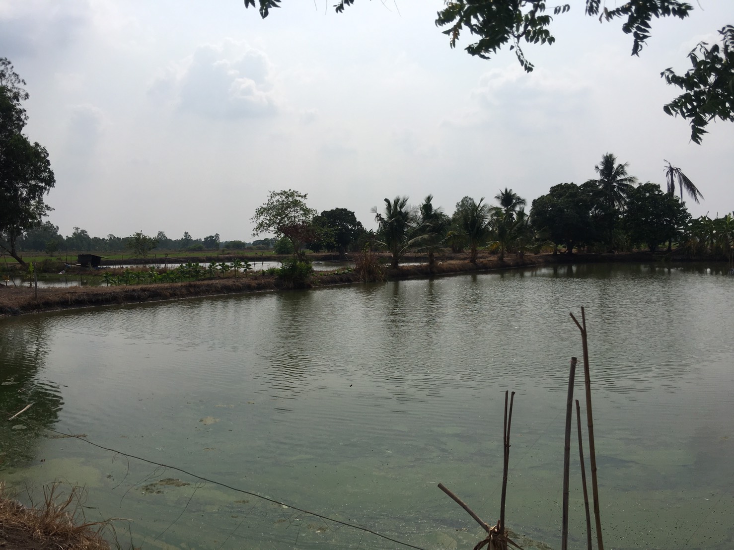 ขาย-ที่ดินเปล่า 30ไร่ ต.ศรีจุฬา อ.เมือง จ.นครนายก