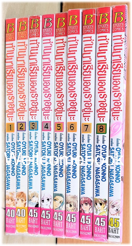 รวมชุด "ท่านมาเรียมองเราอยู่นะ" 9 เล่มจบ ~SATORU NAGASAWA/OYUKI KONNO~