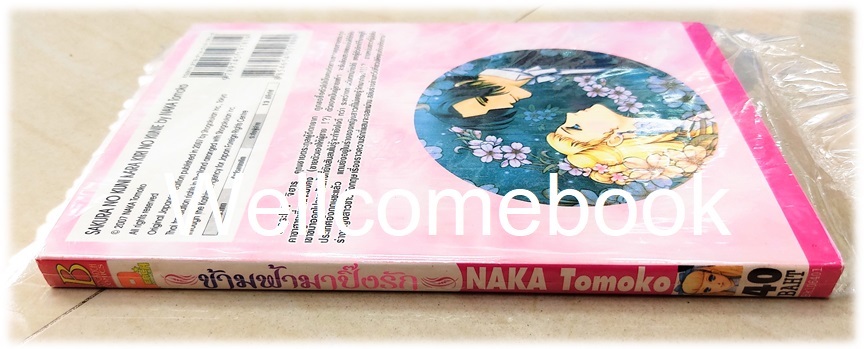 ข้ามฟ้ามาปิ๊งรัก เล่มเดียวจบ ~NAKA Tomoko~