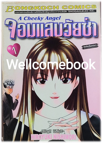 จอมแสบวัยซ่า เล่ม 1 ~HIROYUKI NICHIMORI~