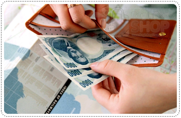 Mini Journey Passport Case ปกใส่พาสปอร์ต และเอกสารสำหรับการเดินทาง