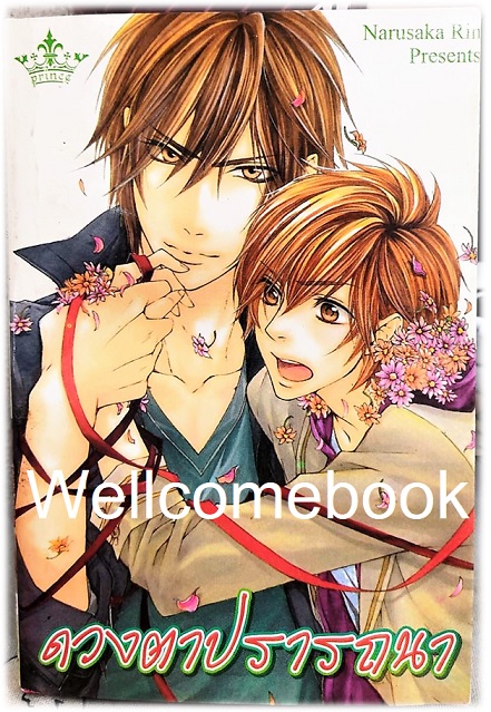ดวงตาปรารถนา เล่มเดียวจบ ~Narusaka Rin~
