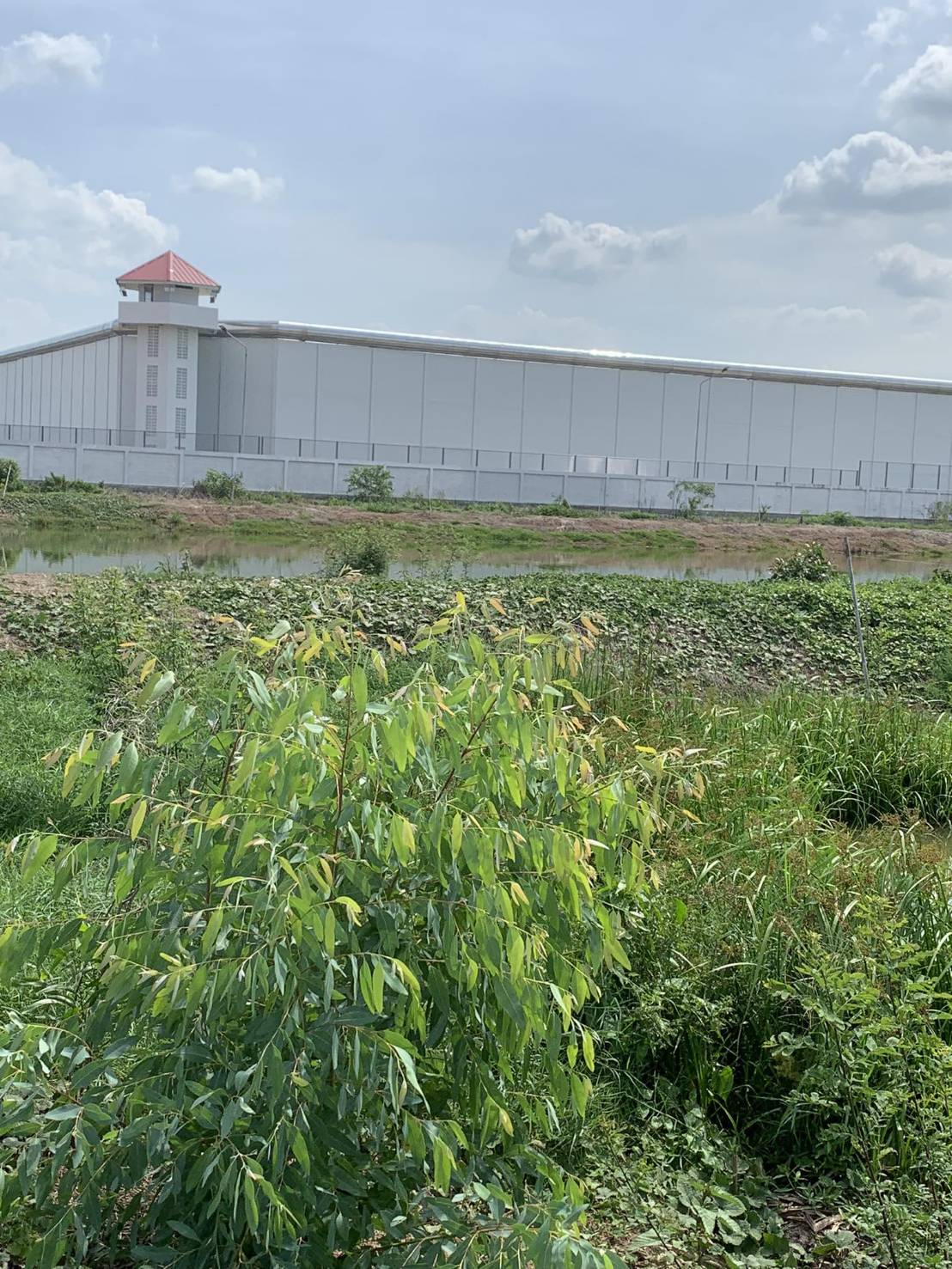 ขาย-ที่ดินเปล่าจำนวน 2 ไร่ 2 งาน 70 ตารางวาตำบลดอนยออำเภอเมืองนครนายกจังหวัดนครนายก