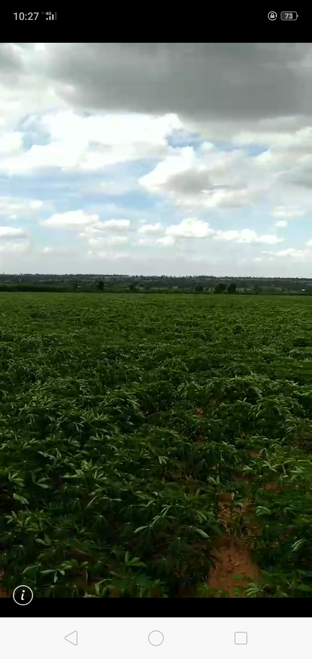 ขาย-ที่ดินเปล่ จำนวน888ไร่ ต.ตะขบ อ.ปักธงชัย จ.นครราชสีมา