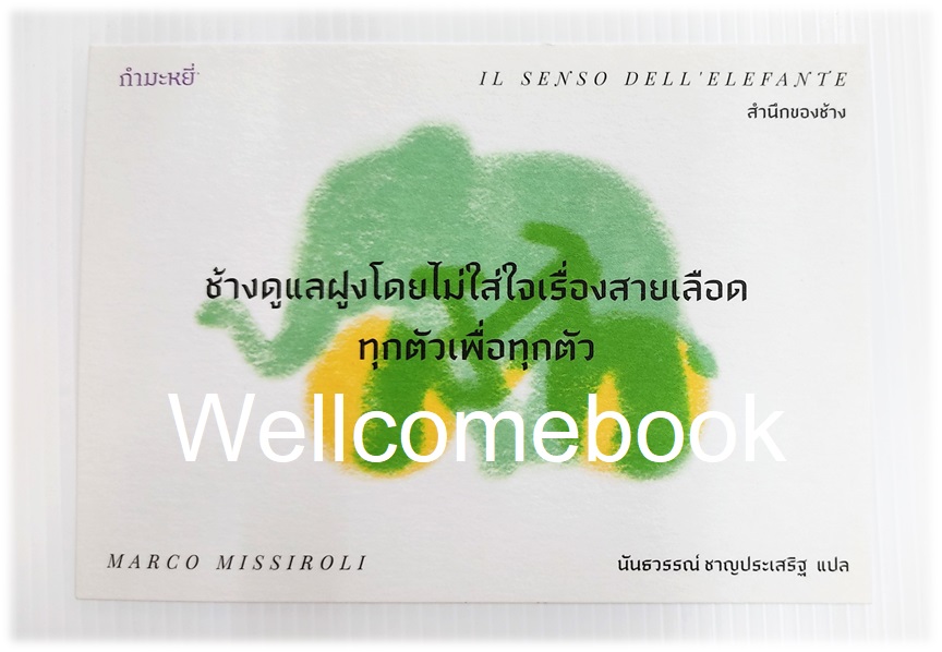 โป้สการ์ดลาย 'IL SENSO DELL'ELEFANTE สำนึกของช้าง'