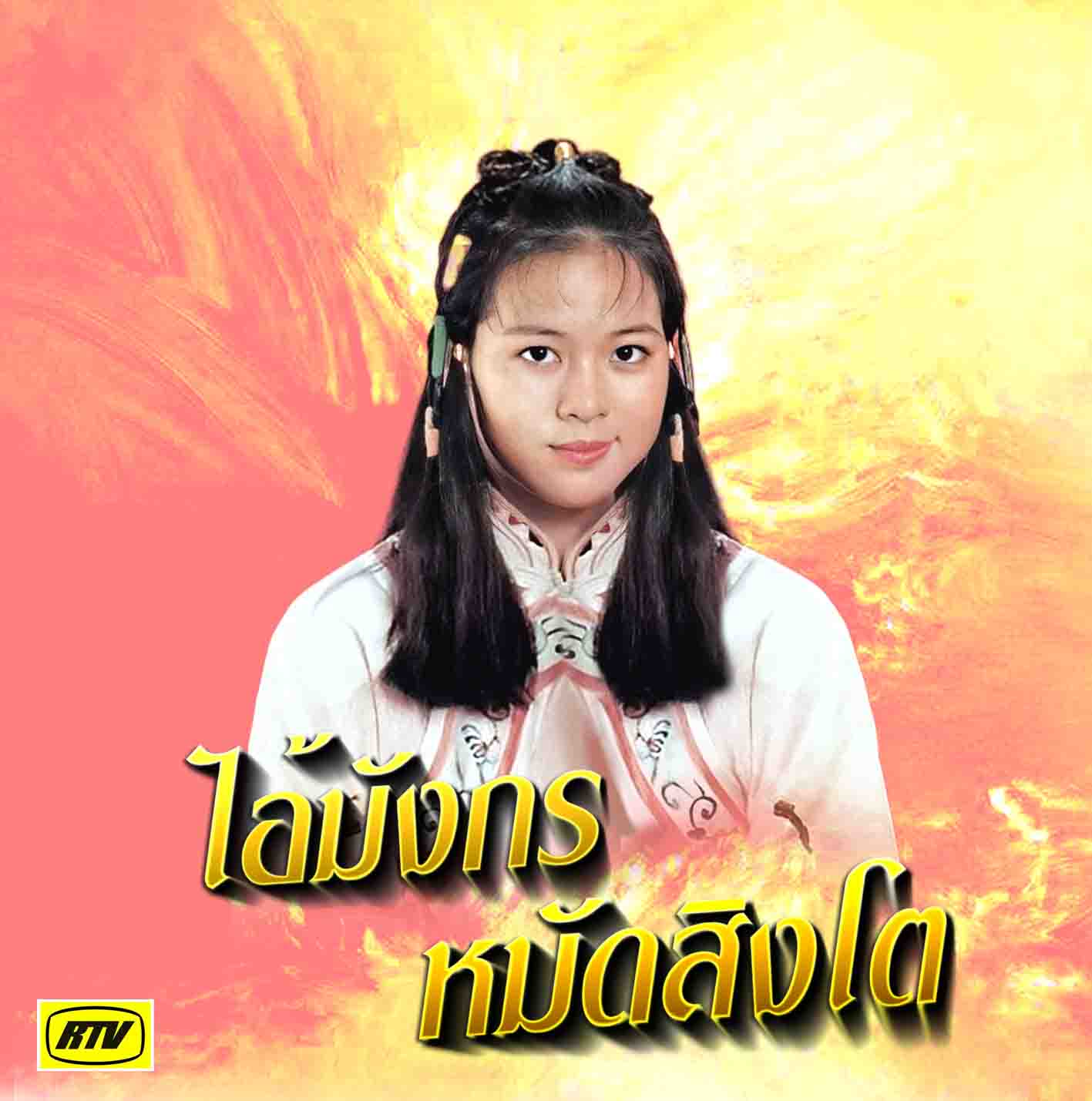 DVD ไอ้มังกรหมัดสิงโต บรรยายไทย ไม่พากย์ไทย เสียงจีนกวางตุ้ง หวงเหยินเซิน