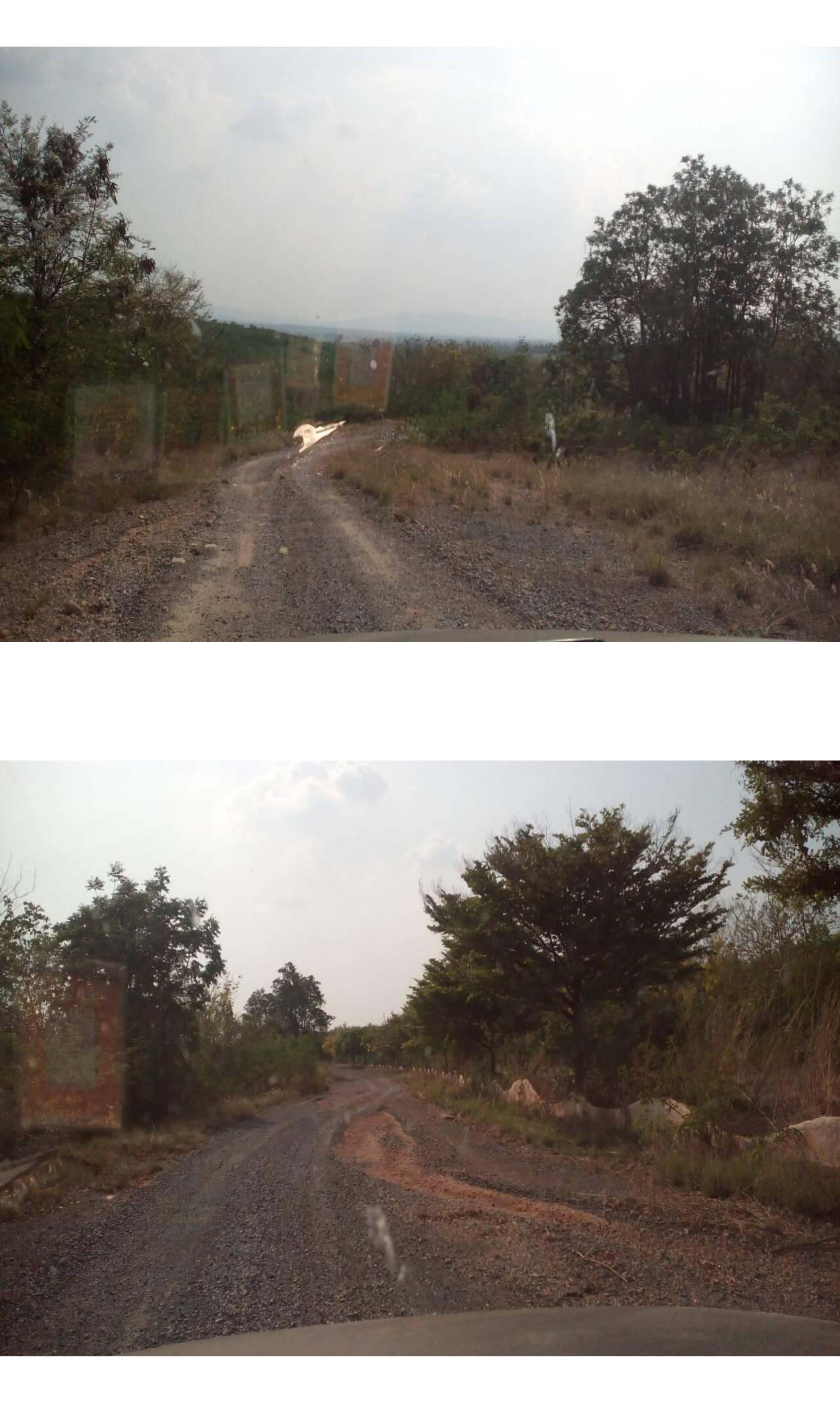 ขาย-ที่ดินเปล่า จำนวน1000ไร่ รีสอร์ทภูฟ้าใส อำเภอวังม่วง จังหวัดสระบุรี