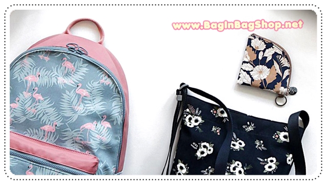 Carry Pouch