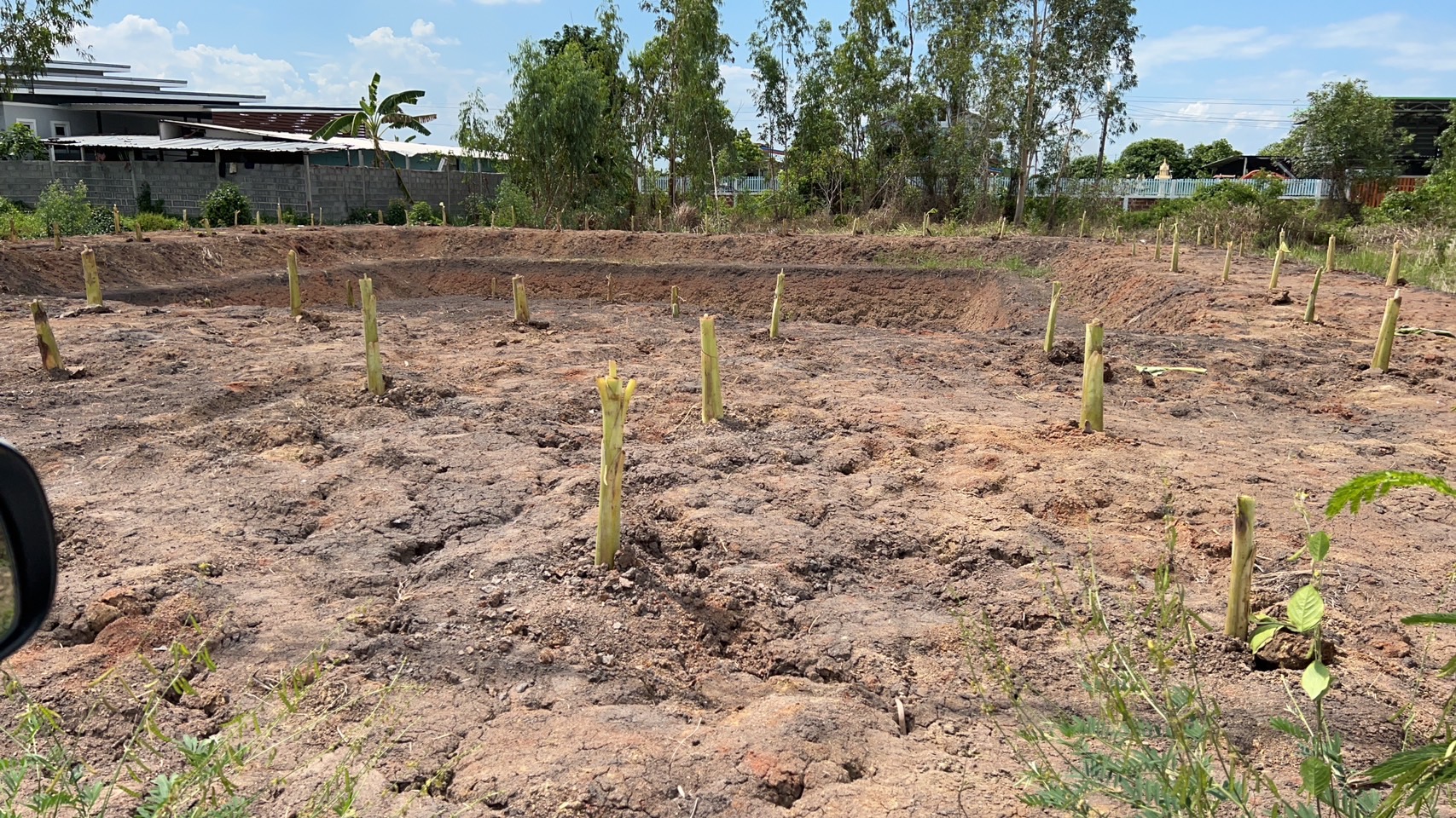 ขาย-ที่ดินเปล่าสวย คลอง12 พื้นที่ 1งาน78ตารางวา คลอง12 ซอยลำน้ำพัฒนา ต.ศาลาครุ อ.หนองเสือ จ.ปทุมธานี12170