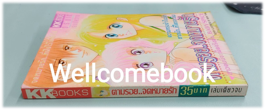 ตามรอยจดหมายรัก เล่มเดียวจบ