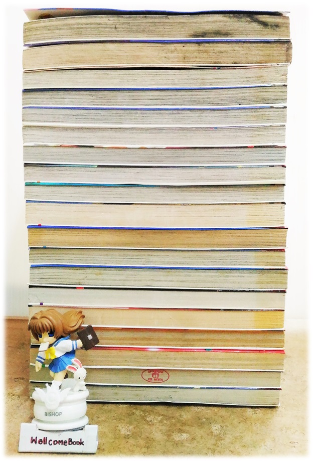 รวมชุด "เพลงแค้นดาบเทพเจ้า" 19 เล่มจบ ~Natsumi Itsuki~