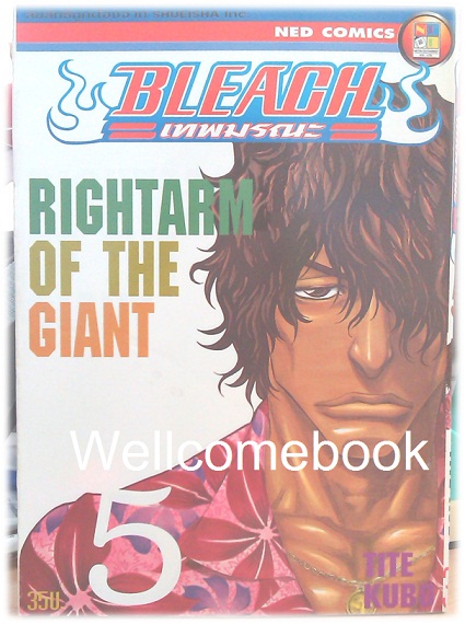 รวมชุด "BLEACH เทพมรณะ" เล่ม 1- 32 (ยังไม่จบ) ~Tite Kubo~